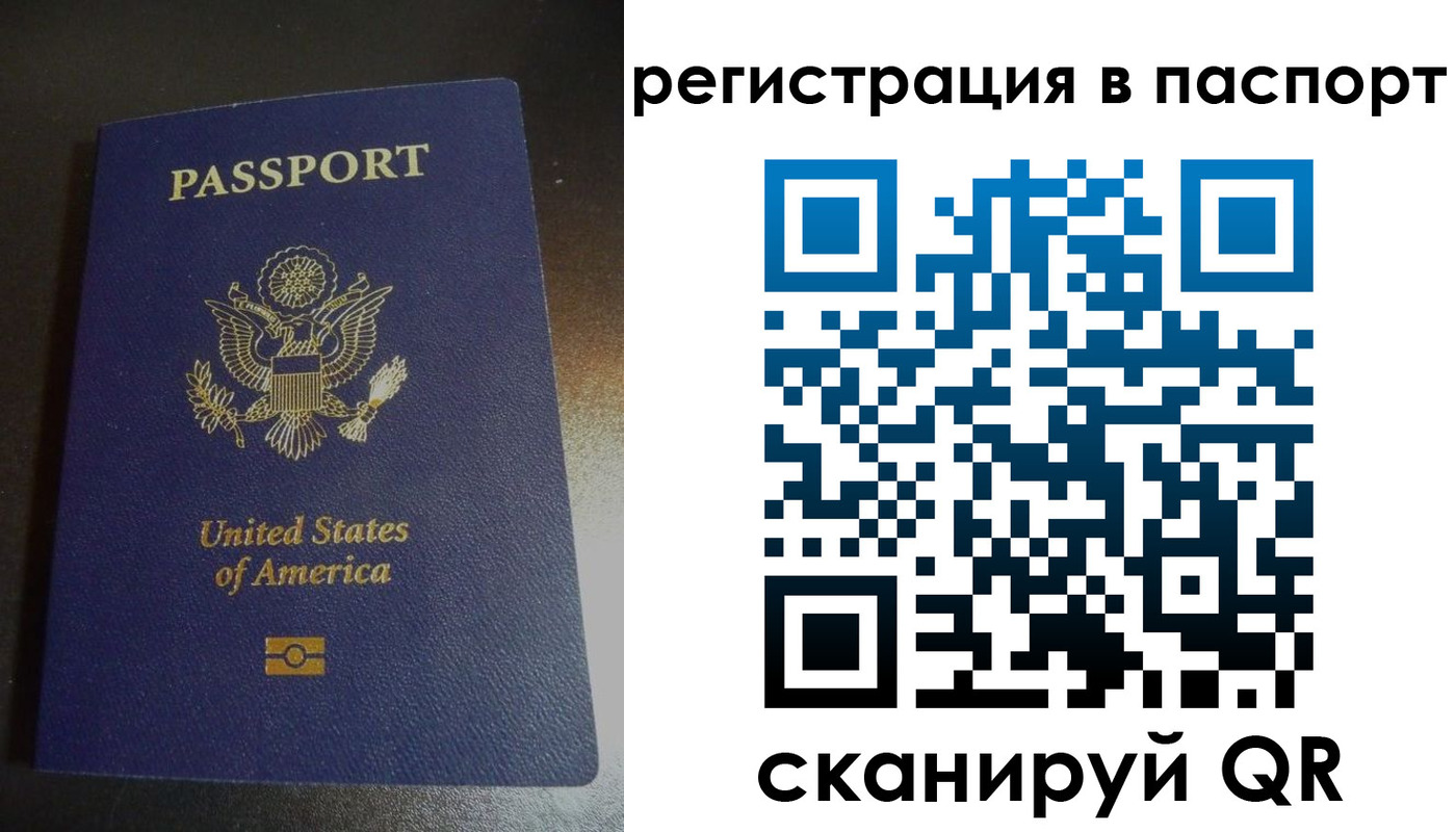 прописка для школы в Видном